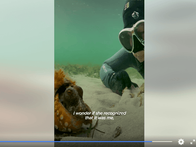 Woman Spends Months Helping An Octopus Protect Her Eggs