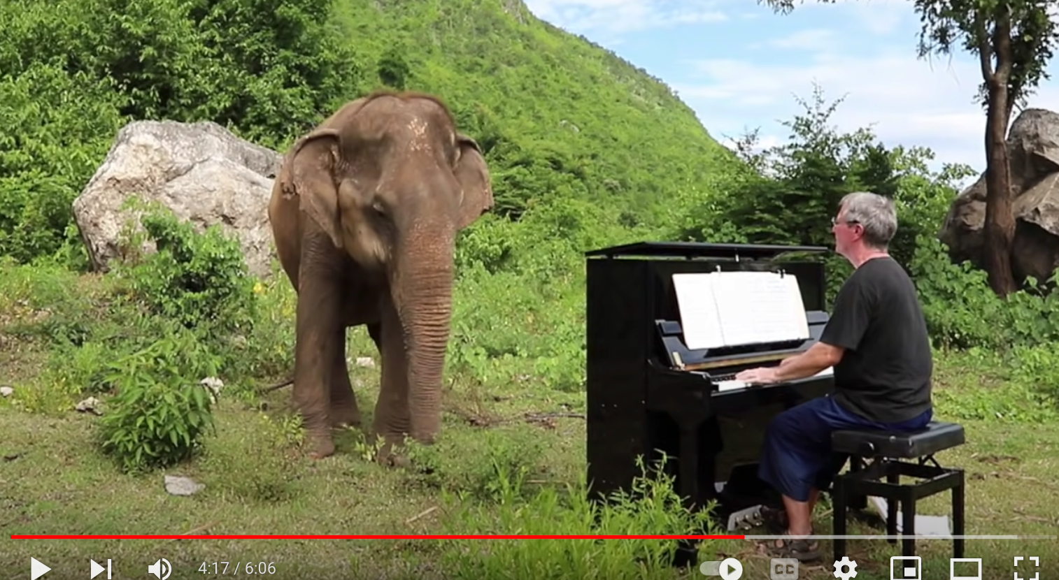 Bach on Piano for Blind Elephant