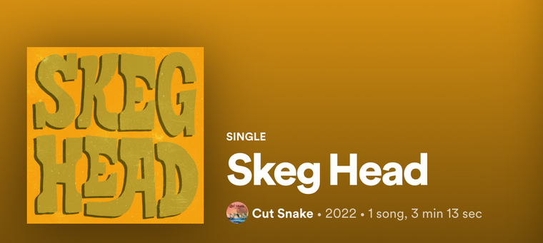 Skeg Head | New Music By Cut Snake
