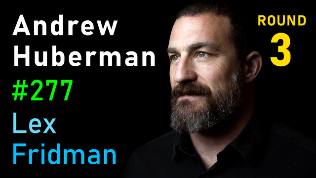 Lex Fridman Podcast | Andrew Huberman: Focus, Stress, Relationships, and Friendship