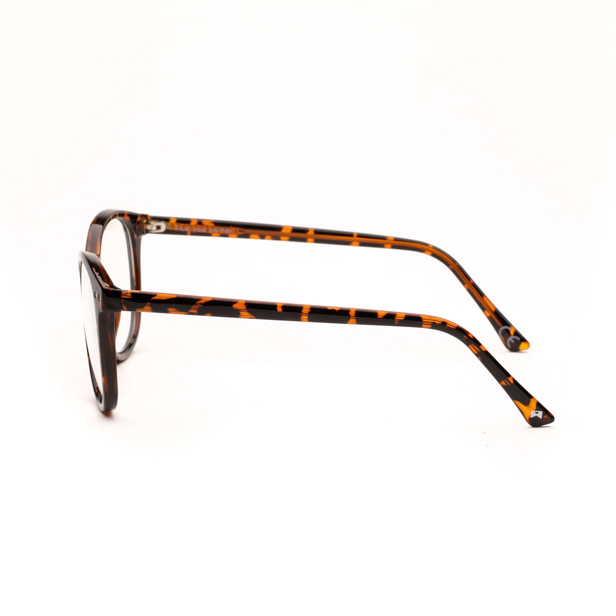 The Blue Light Blocking Frames - Alani side